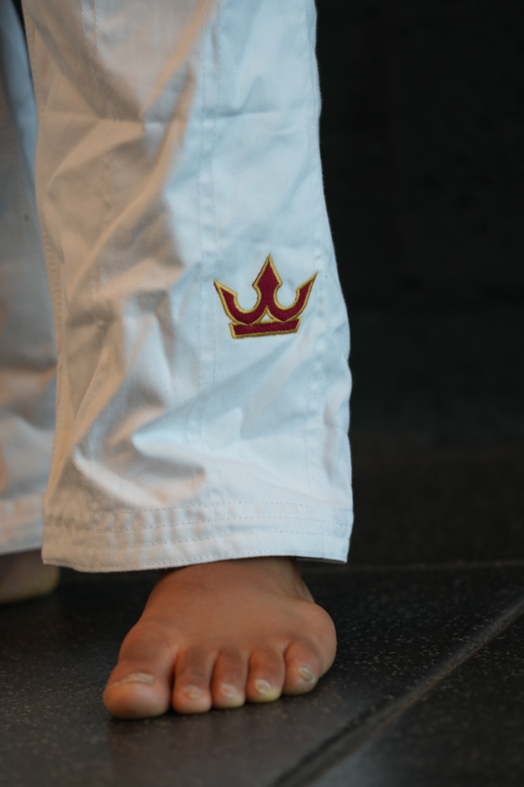 The Apex Gi – From Qatar To The World