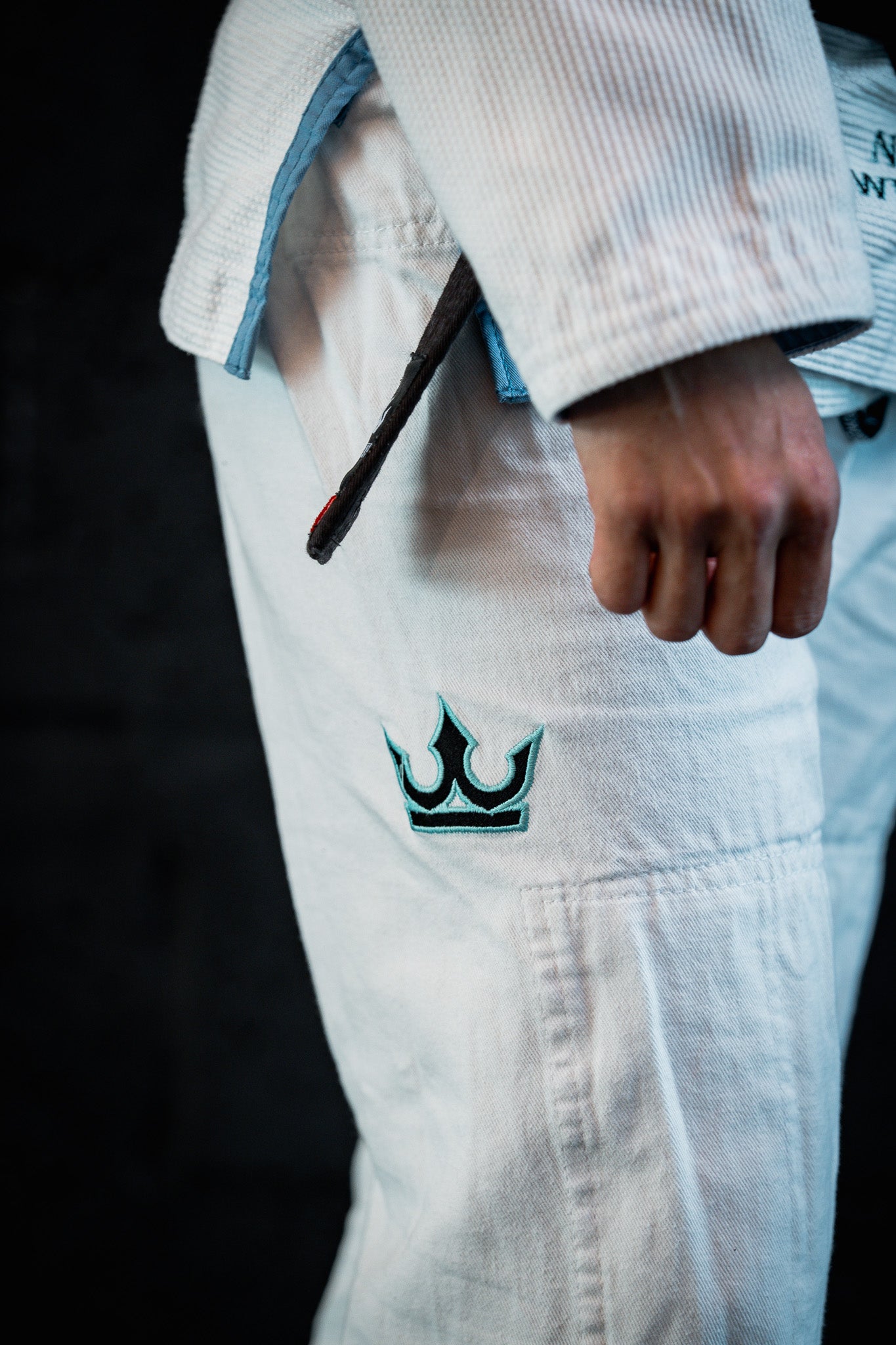 THE APEX CROWN GI- White and sky blue