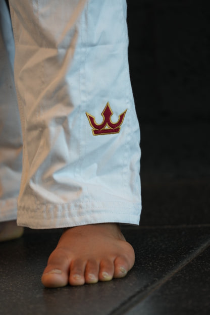 The Apex Gi – From Qatar To The World
