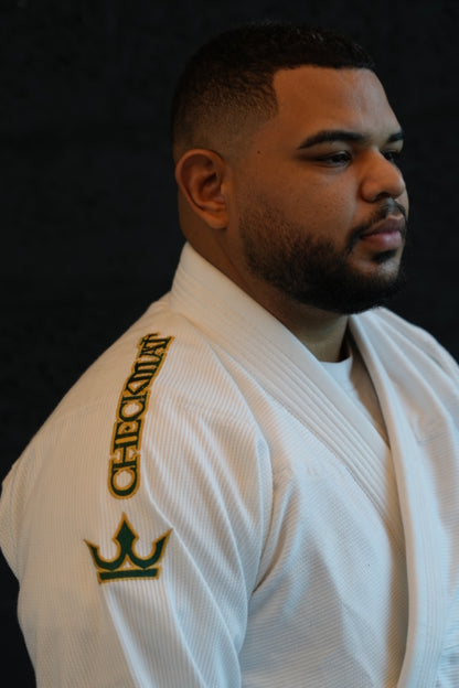 The Apex Gi – From Qatar To The World